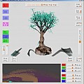 Bonsai displayed with Automatically Determined Spatial-Transfer-Function